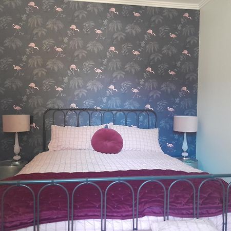 St David'S On James Luxury Apartments Dunedin Esterno foto